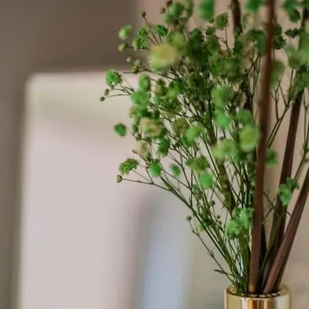 Magnifique 3 Etoiles, 2 Salles De Bain, 2 A Coucher, Plage, Hyper Centre, Entierement Renove * Cabourg