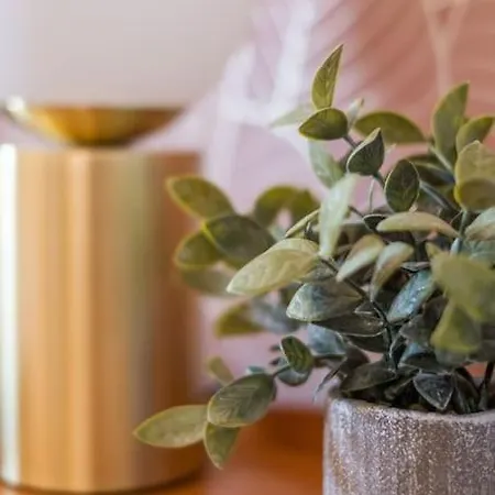 Lägenhet Magnifique 3 Etoiles, 2 Salles De Bain, 2 A Coucher, Plage, Hyper Centre, Entierement Renove Cabourg