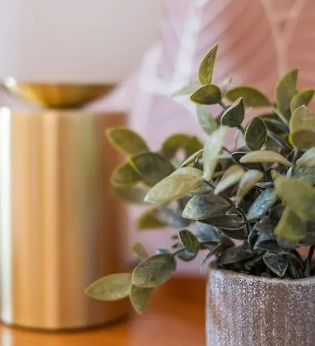 Apartament Magnifique 3 Etoiles, 2 Salles De Bain, 2 A Coucher, Plage, Hyper Centre, Entierement Renove Cabourg