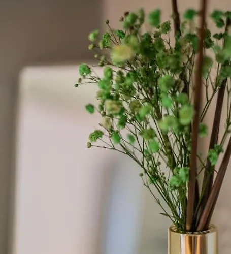 Magnifique 3 Etoiles, 2 Salles De Bain, 2 A Coucher, Plage, Hyper Centre, Entierement Renove * Cabourg